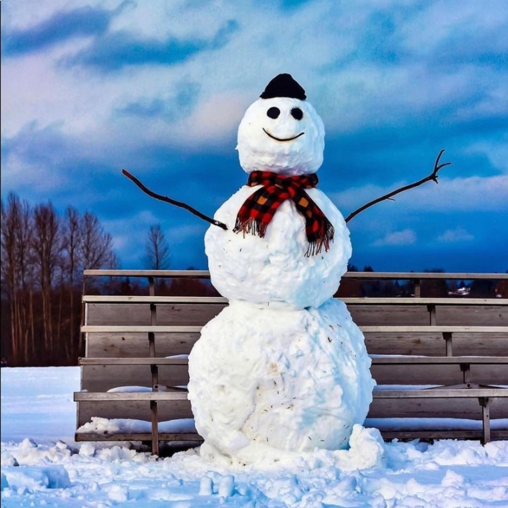 Meet your Posher, Jing